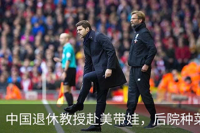 中国退休教授赴美带娃，后院种菜，一颗和平种子在异国生根开花。