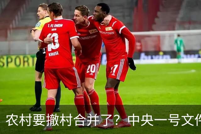 农村要撤村合并了？中央一号文件明确规定，农民必须有发言权
