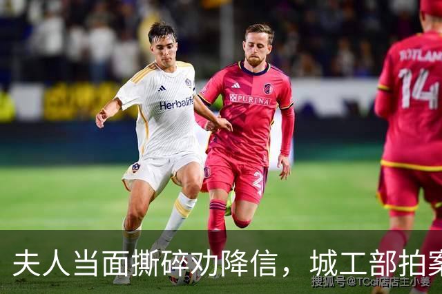 夫人当面撕碎劝降信，城工部拍案叫绝：这一撕，救了十万人