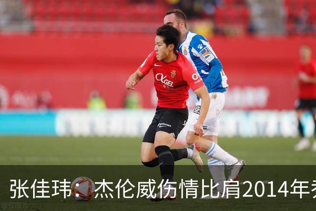 张佳玮：杰伦威伤情比肩2014年乔治，下赛季也未必能打