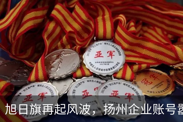 旭日旗再起风波，扬州企业账号嚣张留言“一起披”，汤家凤怒了！