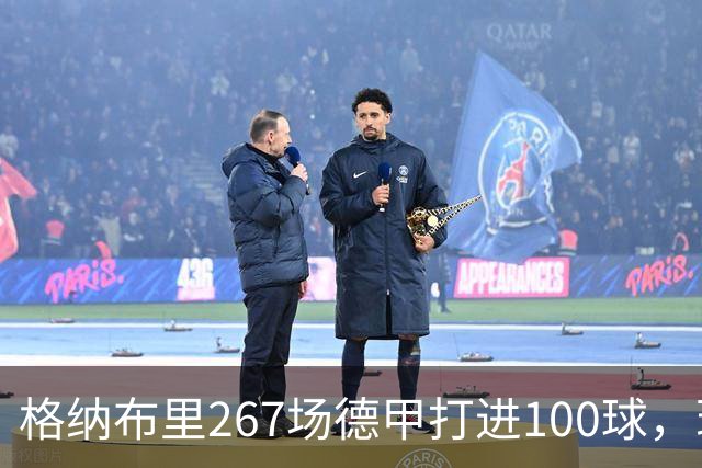 格纳布里267场德甲打进100球，现役德甲球员中第三位百球先生