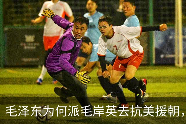 毛泽东为何派毛岸英去抗美援朝，时隔70年，刘思齐才终于说出真相