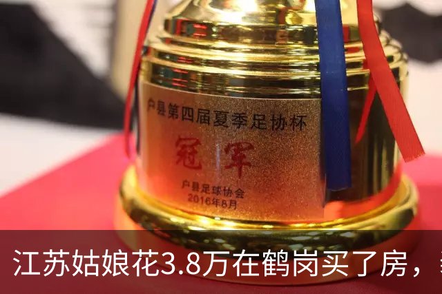 江苏姑娘花3.8万在鹤岗买了房，装修又花4万多，搬进去后傻眼