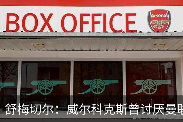 舒梅切尔：威尔科克斯曾讨厌曼联，为何如今却在曼联任职