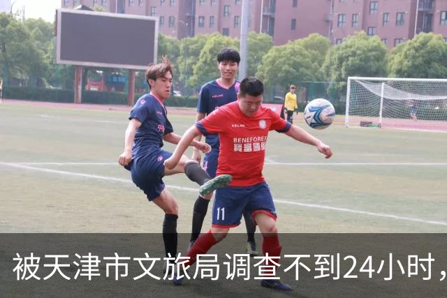 被天津市文旅局调查不到24小时，64岁杨议再迎噩耗！