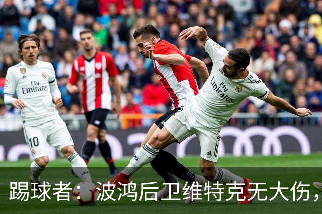 踢球者：波鸿后卫维特克无大伤，仅伤口需处理