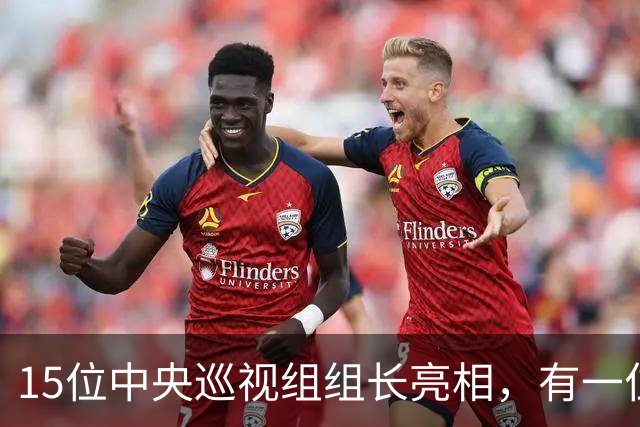 15位中央巡视组组长亮相，有一位“新面孔”