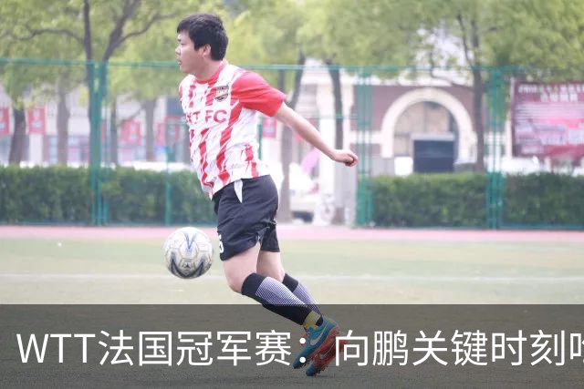 WTT法国冠军赛：向鹏关键时刻吃俩发球，2-3惜败不敌老将奥恰洛夫
